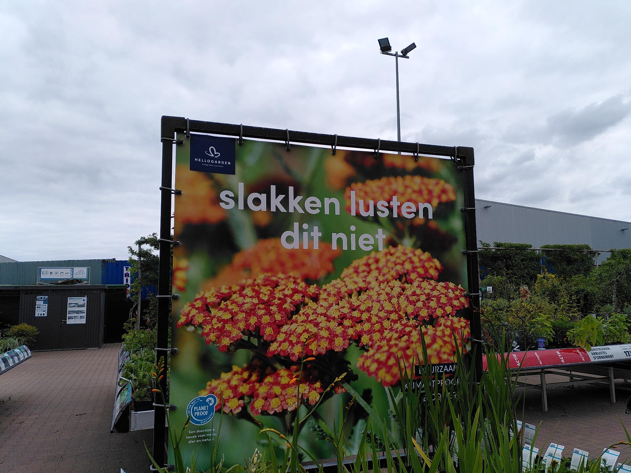 Advertisement of plants in a garden centre that reads 'slugs don't like this'.
